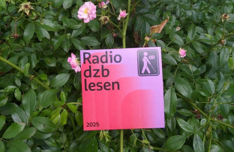 Die CD mit der Aufschrift Das CD-Cover von Radio dzb lesen 2025 in rot und lila vor einem Tannenrosenstrauch