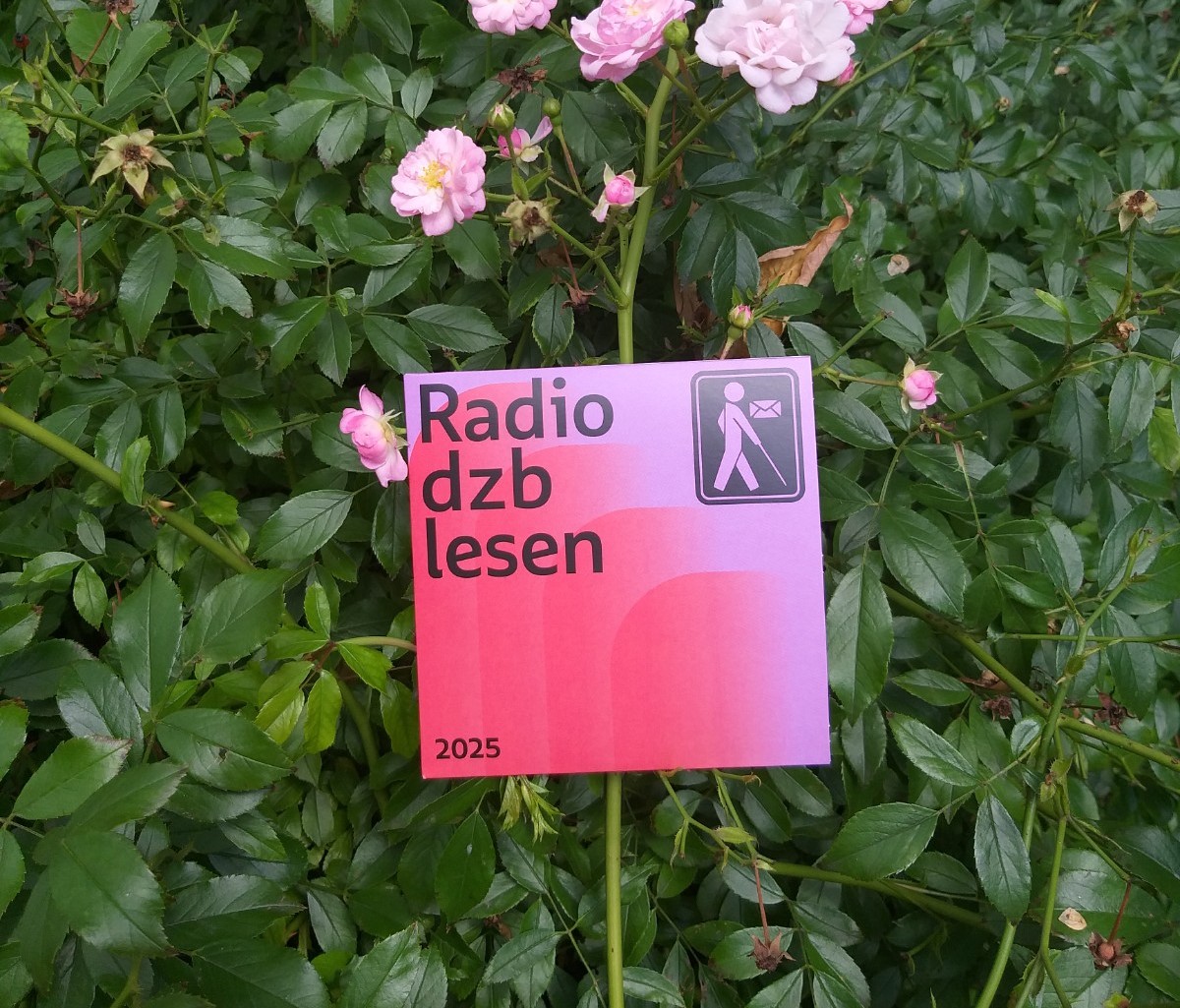 Die CD mit der Aufschrift Das CD-Cover von Radio dzb lesen 2025 in rot und lila vor einem Tannenrosenstrauch