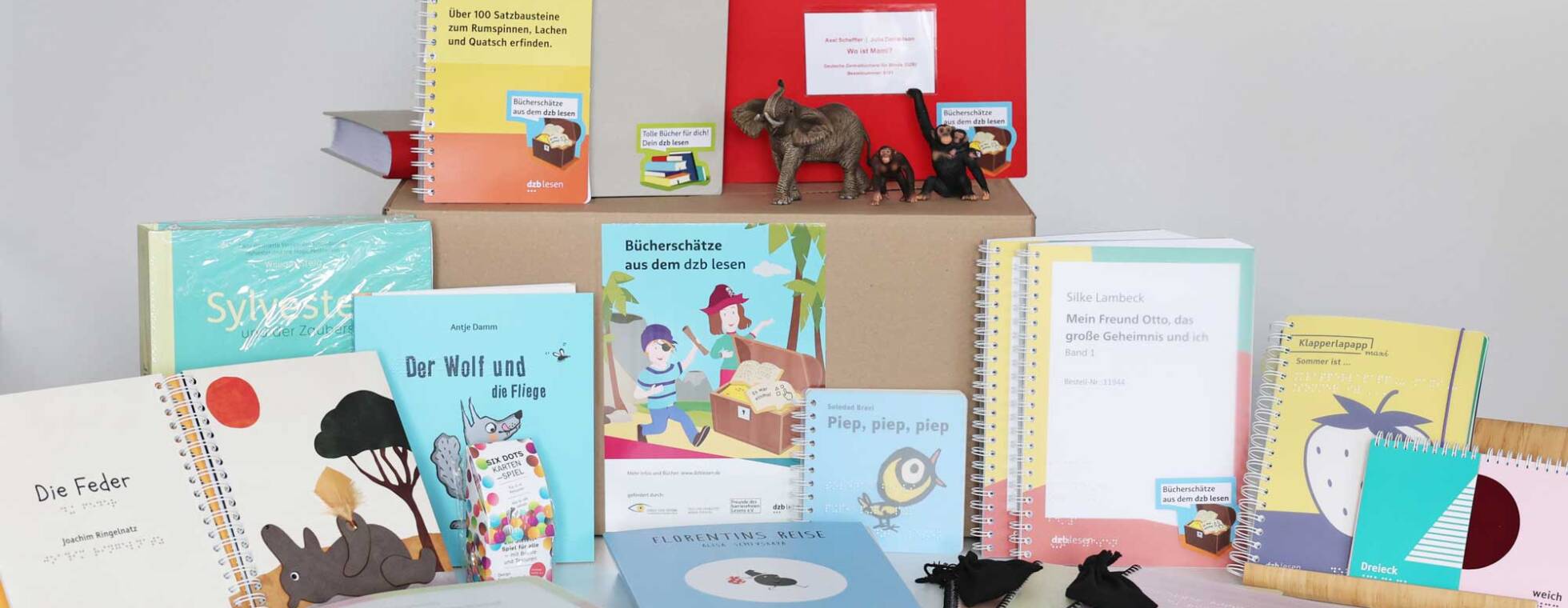 Foto von zahlreichen Kinder- und Jugendbücher auf einem Paket mit dem Lesekistenlogo