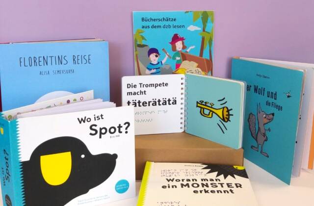 Um ein Paket sind bunte Kinderbücher mit Großdruck und Braille aufgestellt