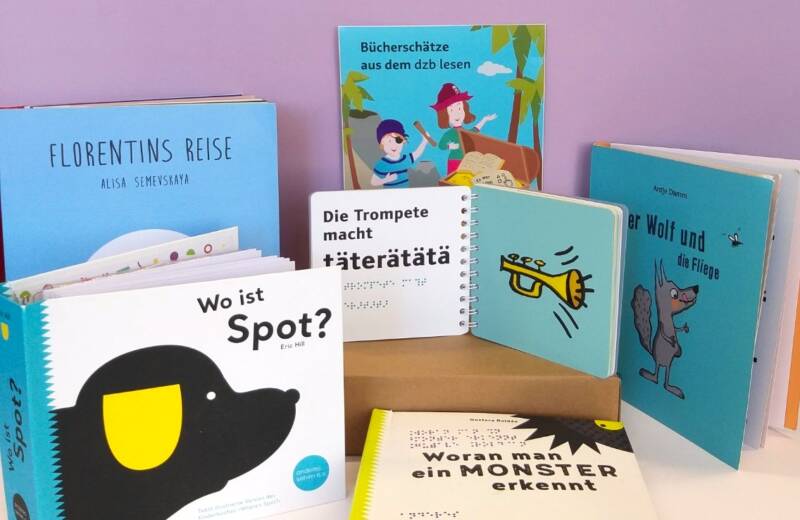 Um ein Paket sind bunte Kinderbücher mit Großdruck und Braille aufgestellt